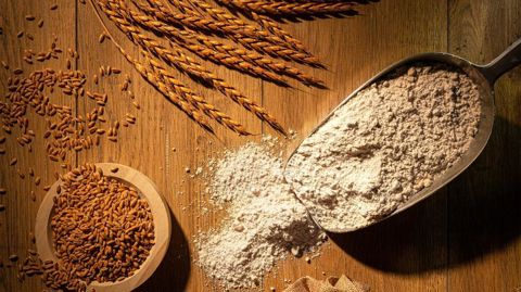 Inaugurée en 2018, la plateforme de variétés anciennes des Moulins Viron compte 130 variétés, dont 30 sont appelées à être commercialisées pour des pains d’exception. 